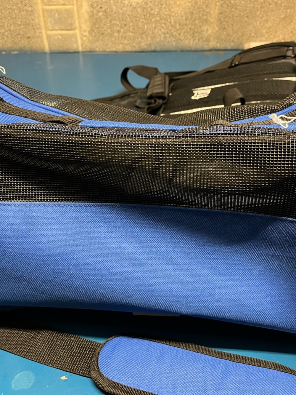 Southwest Blue Pet Travel Carrier - Blue with Black Accents - Picture 2 of 6